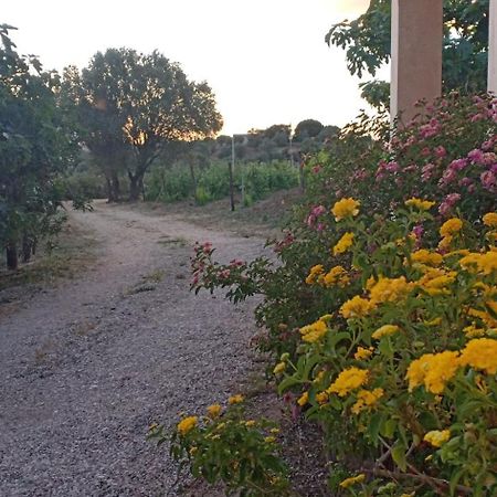 הוילה דורגלי Agriturismo Muristene מראה חיצוני תמונה