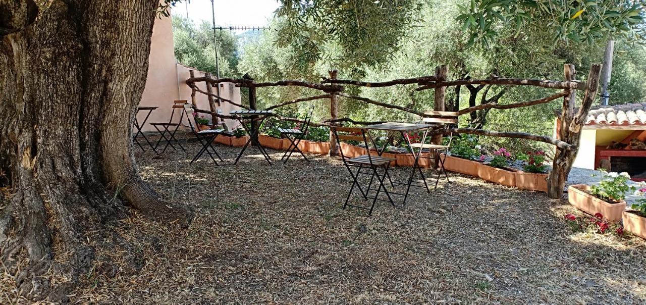 הוילה דורגלי Agriturismo Muristene מראה חיצוני תמונה