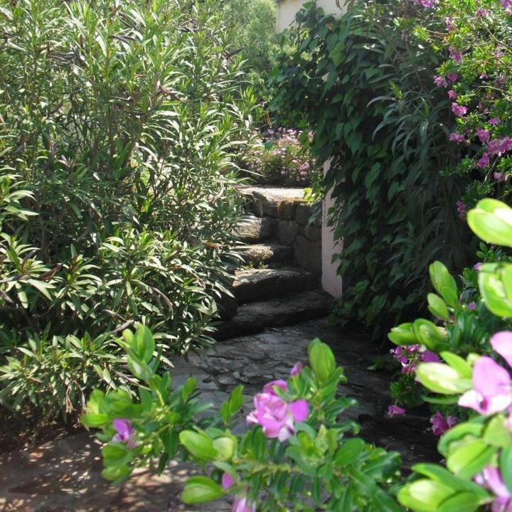 הוילה דורגלי Agriturismo Muristene מראה חיצוני תמונה